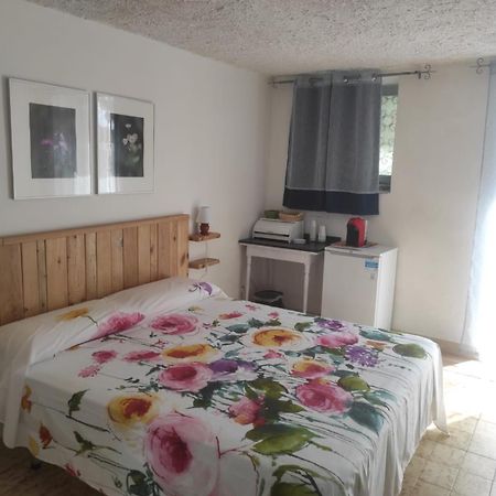 Villa Irma Marina di Camerota Bagian luar foto