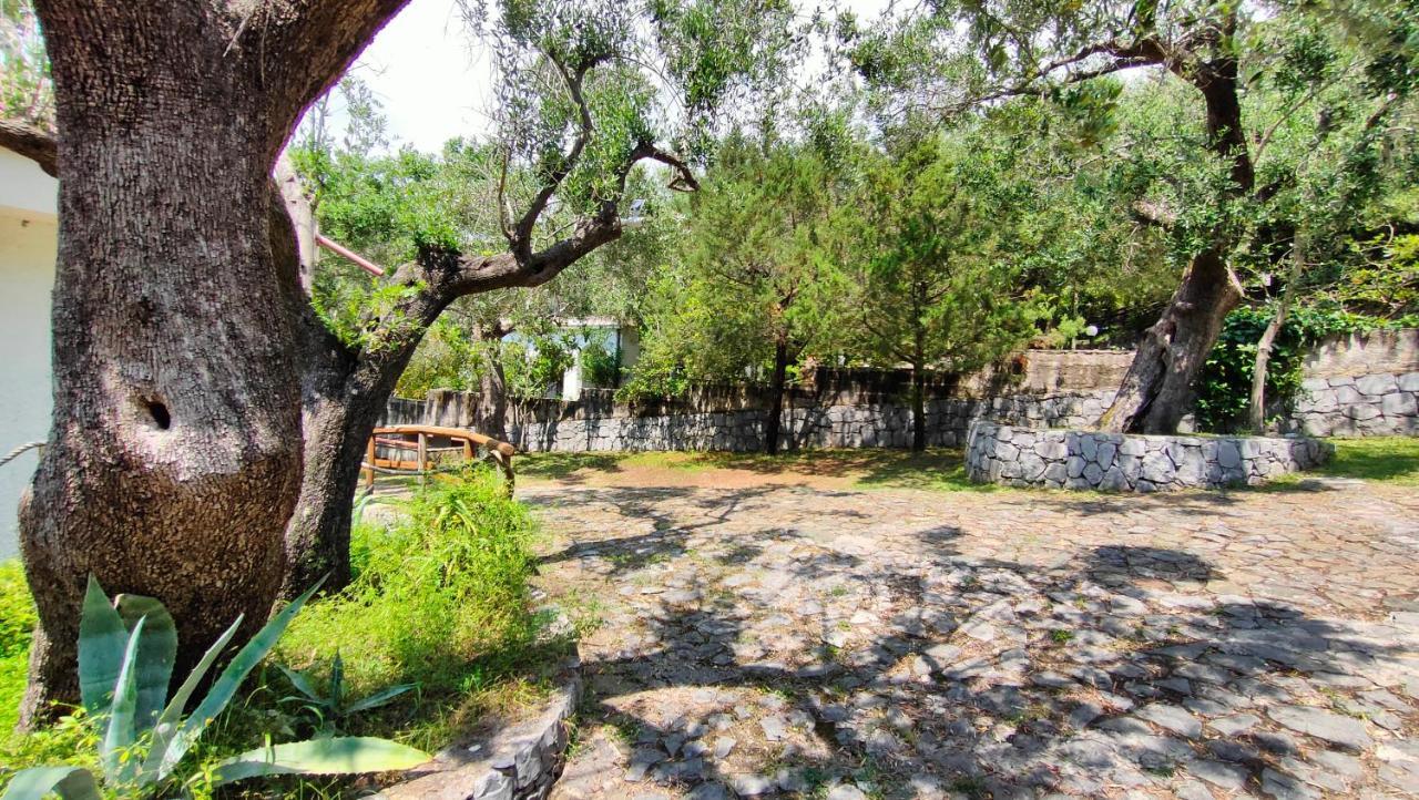 Villa Irma Marina di Camerota Bagian luar foto