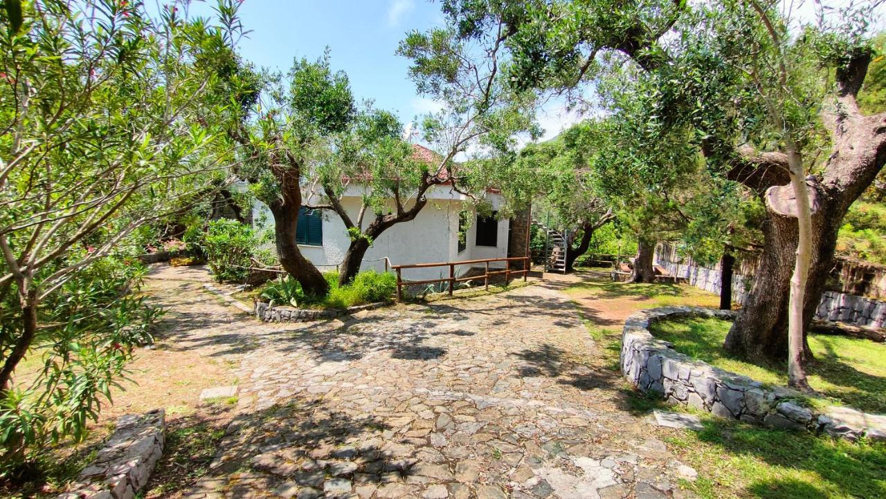 Villa Irma Marina di Camerota Bagian luar foto