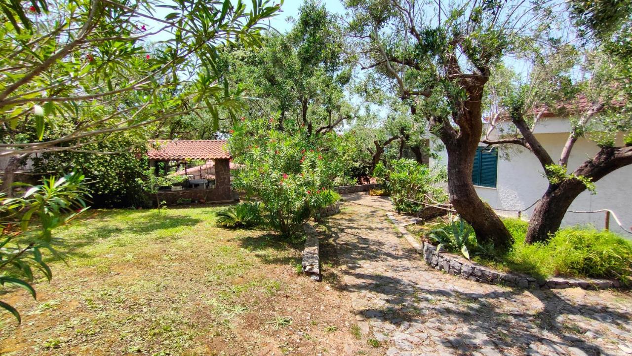 Villa Irma Marina di Camerota Bagian luar foto