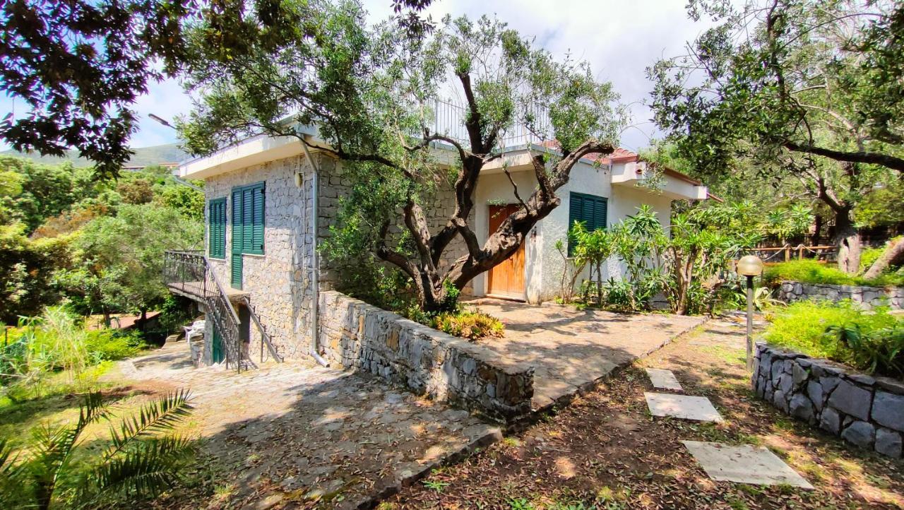 Villa Irma Marina di Camerota Bagian luar foto