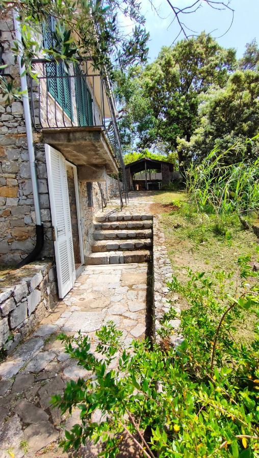 Villa Irma Marina di Camerota Bagian luar foto