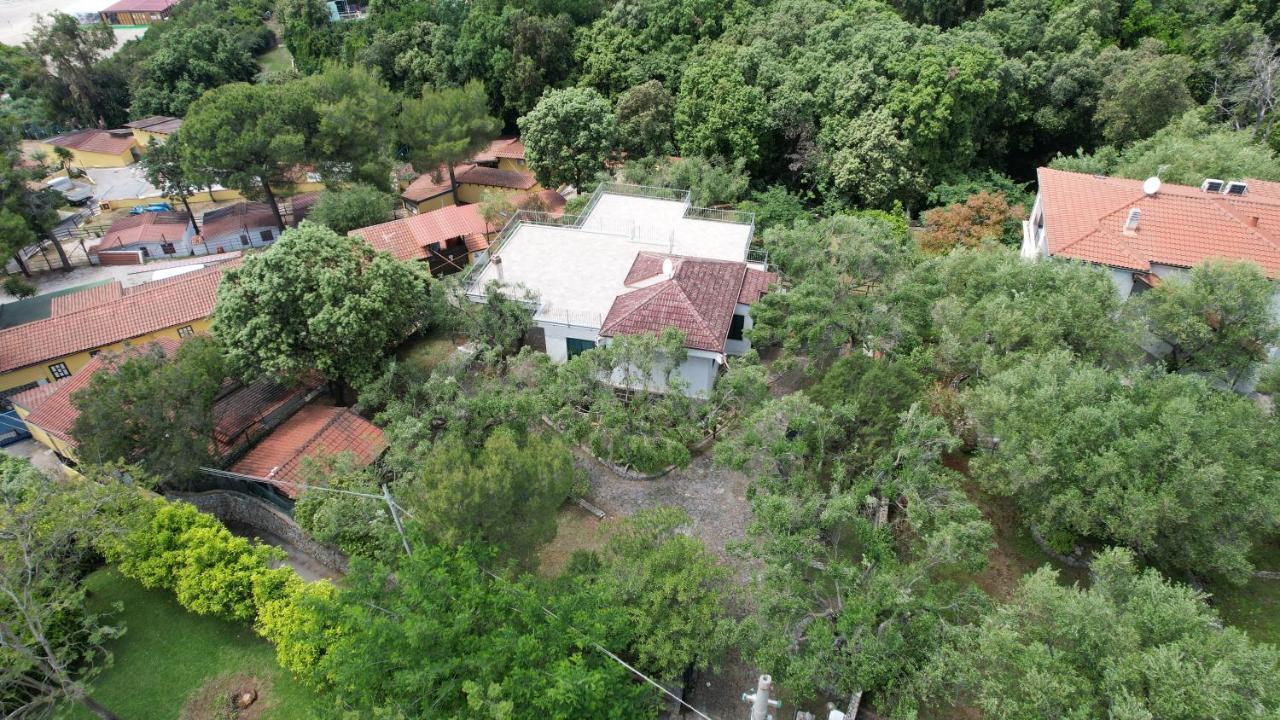 Villa Irma Marina di Camerota Bagian luar foto